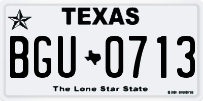 TX license plate BGU0713
