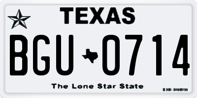 TX license plate BGU0714