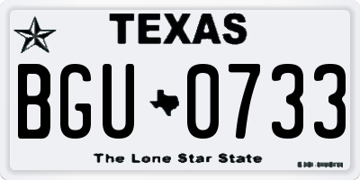 TX license plate BGU0733