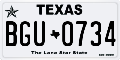 TX license plate BGU0734