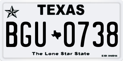 TX license plate BGU0738