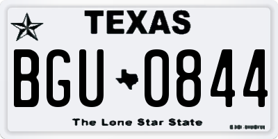 TX license plate BGU0844