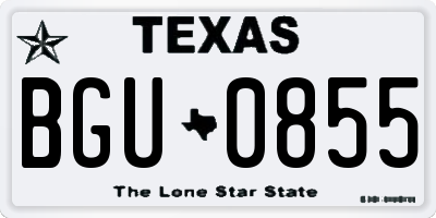 TX license plate BGU0855