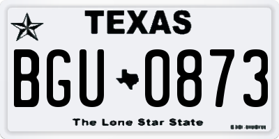 TX license plate BGU0873