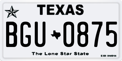 TX license plate BGU0875