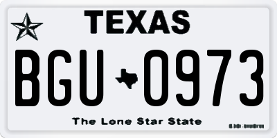 TX license plate BGU0973