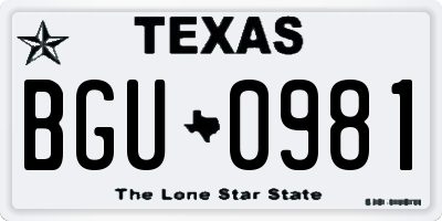 TX license plate BGU0981
