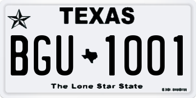 TX license plate BGU1001