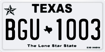 TX license plate BGU1003
