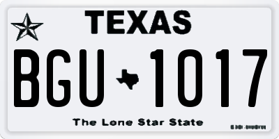TX license plate BGU1017