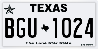 TX license plate BGU1024