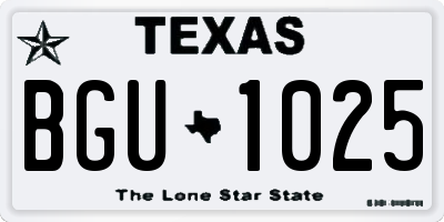 TX license plate BGU1025