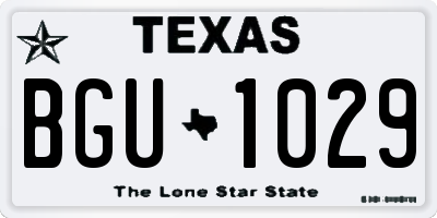 TX license plate BGU1029