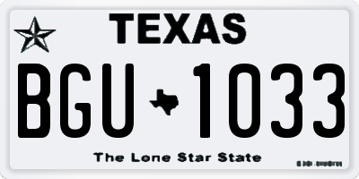 TX license plate BGU1033
