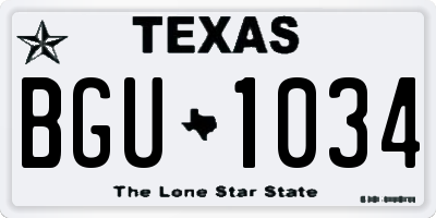 TX license plate BGU1034