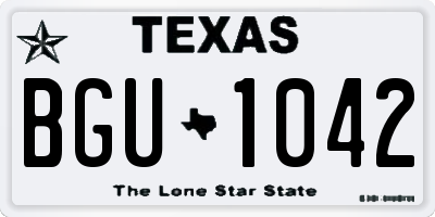 TX license plate BGU1042