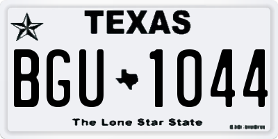 TX license plate BGU1044
