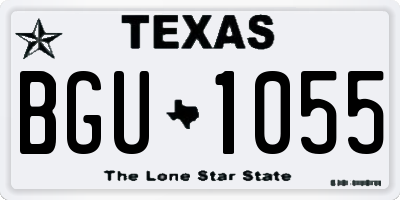 TX license plate BGU1055