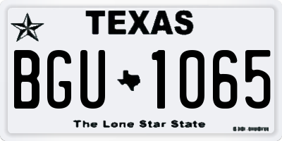 TX license plate BGU1065