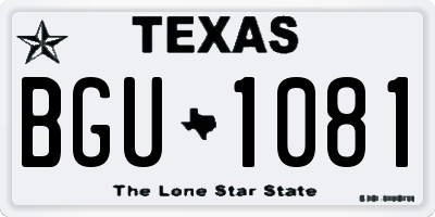TX license plate BGU1081