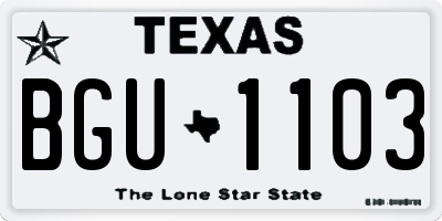 TX license plate BGU1103