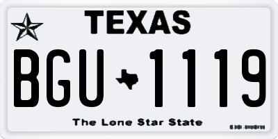 TX license plate BGU1119