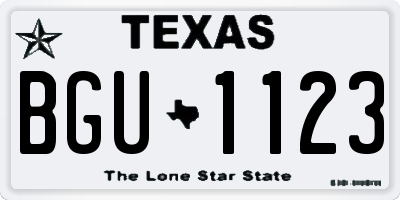 TX license plate BGU1123
