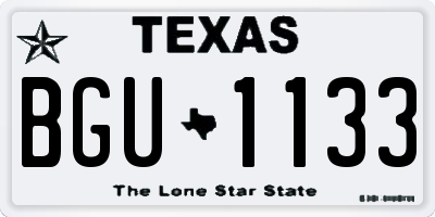 TX license plate BGU1133