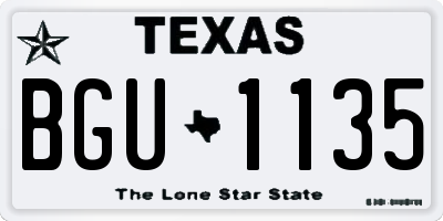TX license plate BGU1135