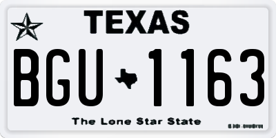 TX license plate BGU1163