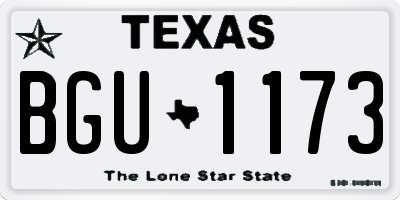 TX license plate BGU1173