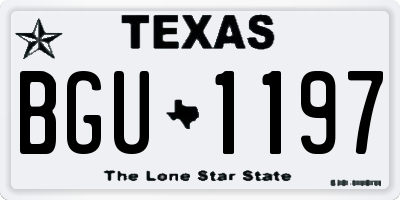 TX license plate BGU1197