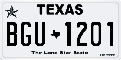 TX license plate BGU1201