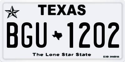 TX license plate BGU1202