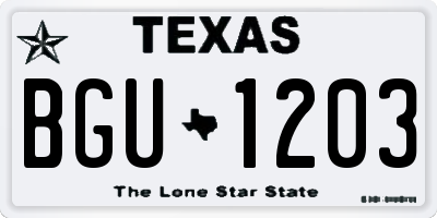 TX license plate BGU1203