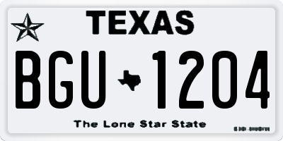 TX license plate BGU1204