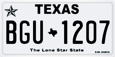 TX license plate BGU1207