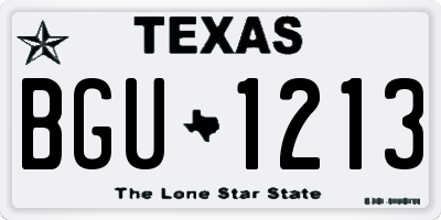 TX license plate BGU1213