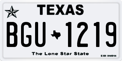 TX license plate BGU1219