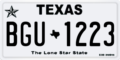 TX license plate BGU1223