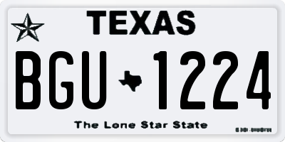 TX license plate BGU1224