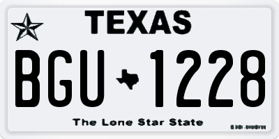 TX license plate BGU1228