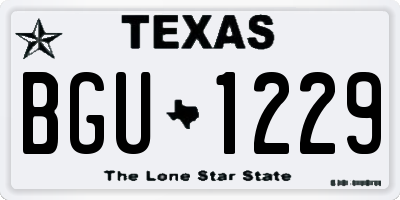 TX license plate BGU1229