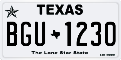 TX license plate BGU1230