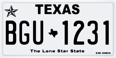 TX license plate BGU1231