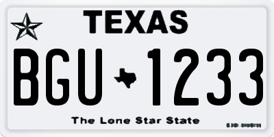 TX license plate BGU1233