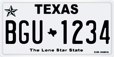 TX license plate BGU1234