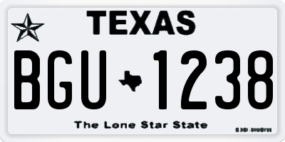TX license plate BGU1238