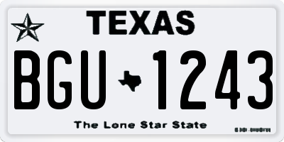 TX license plate BGU1243