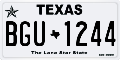 TX license plate BGU1244